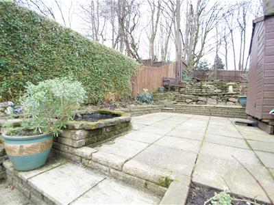 Picture 11